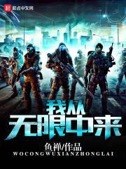 我从无限中来封面