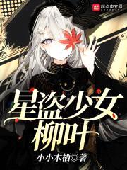 星盗少女柳叶封面