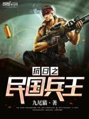 抗日之民国兵王封面