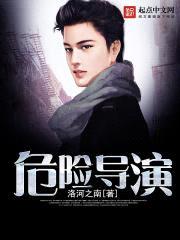 危险导演封面