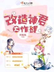 改造神君大作战封面