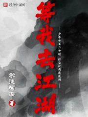 等我去江湖封面