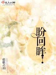盼回眸封面