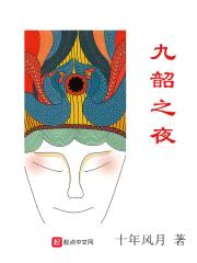 九韶之夜封面
