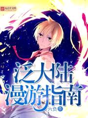 泛大陆漫游指南封面