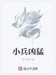 小兵凶猛封面