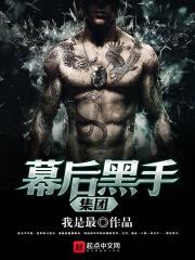 幕后黑手集团封面