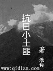 抗日小土匪封面
