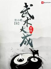 武术大成系统封面