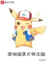 宠物精灵大师之路封面