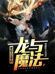 霍格沃茨里的龙与魔法封面