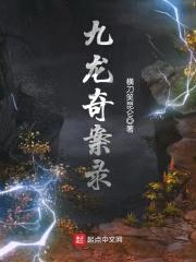 九龙奇案录封面