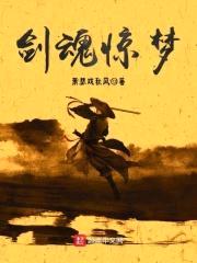 剑魂惊梦封面