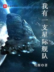 我有一支星际舰队封面
