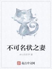 不可名状之妻封面