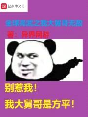 全球高武之我大舅哥无敌封面