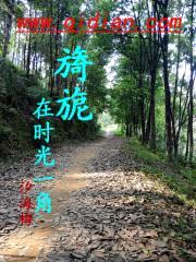旖旎在时光一角封面