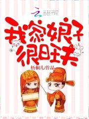 我家娘子很旺夫封面