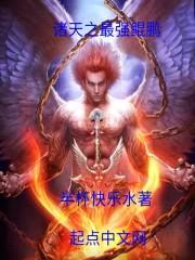 诸天之最强鲲鹏封面