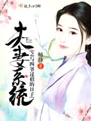 夫妻系统之与四爷过招的日子封面