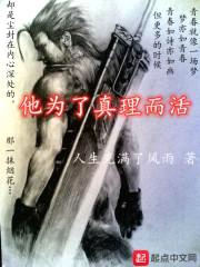 他为了真理而活封面