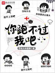 你跑不过我吧封面
