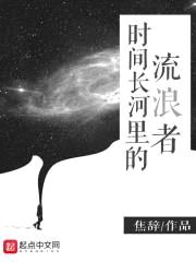 时间长河里的流浪者封面