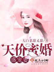 天价蜜婚盛宠妻封面