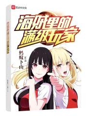 海贼里的满级玩家封面