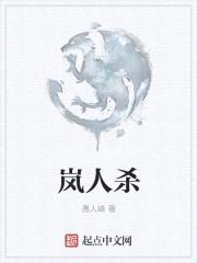 岚人杀封面