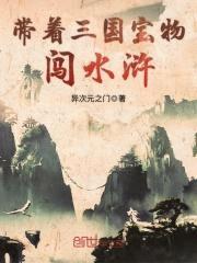 带着三国宝物闯水浒封面