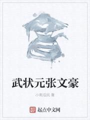 武状元张文豪封面