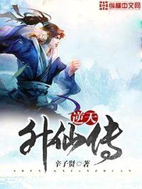 逆天升仙传封面