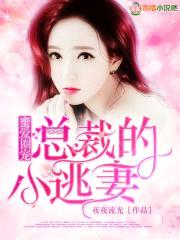 蜜爱圈宠：总裁的小逃妻封面