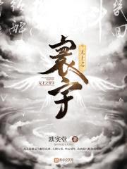 无上之寰宇封面