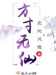 方寸无仙封面