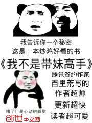 我不是带妹高手封面