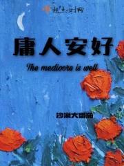 庸人安好封面