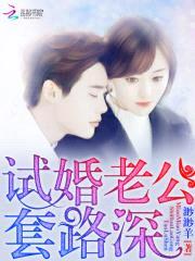 试婚老公，套路深！封面
