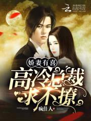 娇妻有喜：高冷总裁，求不撩封面