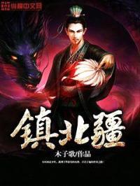 镇北疆封面