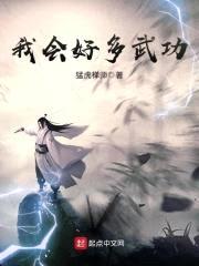 我会好多武功封面