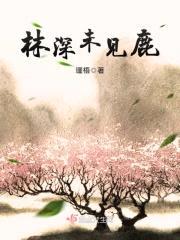 林深未见鹿封面
