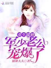 重生暖婚：甜妻宠上瘾封面