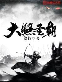 大照圣朝封面