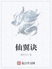 仙翼诀封面