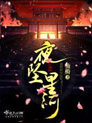 夜坠星河封面