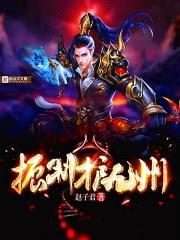 振羽护九州封面