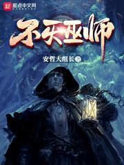 不灭巫师封面