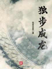 独步成龙封面